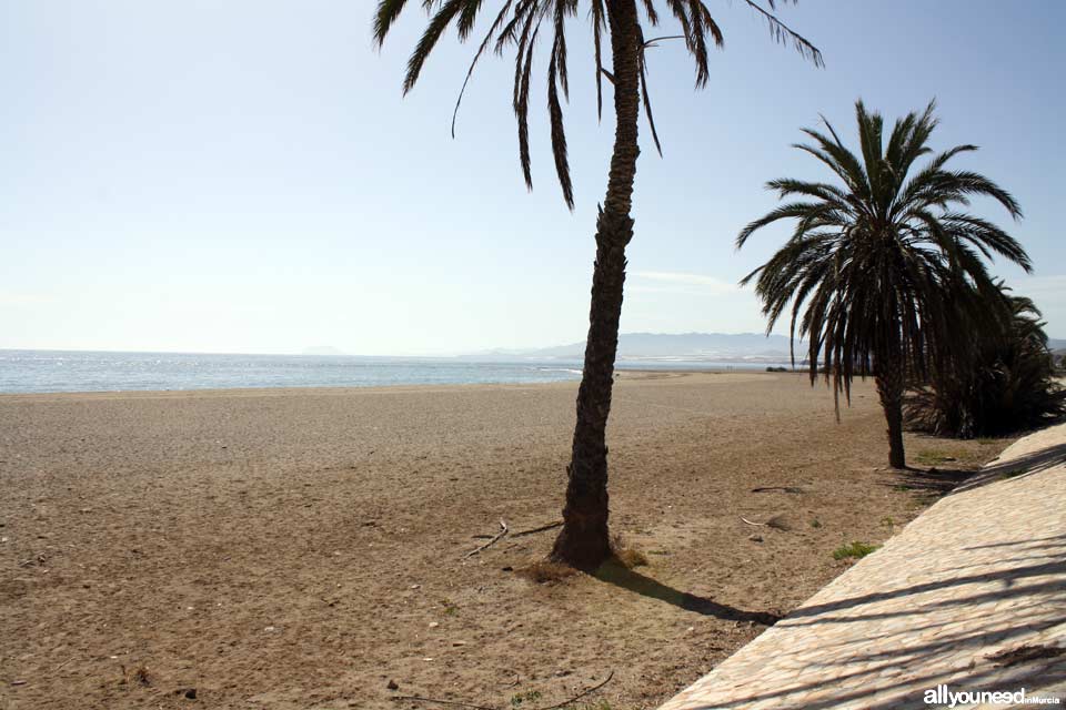 El Castellar Beach All You Need In Murcia